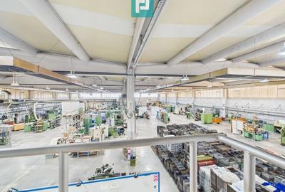 Hală industrială modernă, Șagului - 5