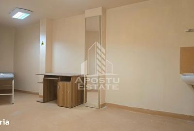 Spațiu comercial, de 250 mp, în Iosefin - 11