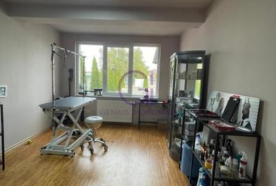 Salon Canin de Vanzare - 2