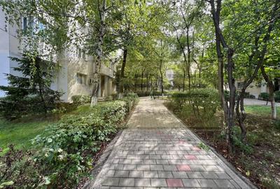 Apartament 2 camere decomandat Pacurari - Moara de Foc - 17