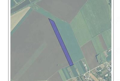 Teren de 14703 mp, în Creața - 4
