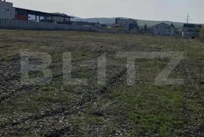 Teren de 10516 mp, în Centura - 1