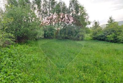 Teren 4,223mp Zarnesti - Tohanita - 11