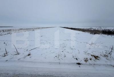 Teren de 9000 mp, în Tărlungeni - 2