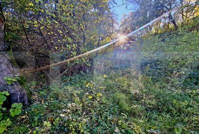 Teren de 725 mp, în Feleacu - 26