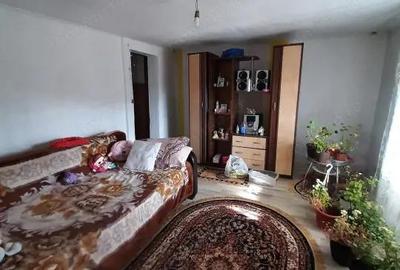 Casa Caline?ti, Carstieni - 8