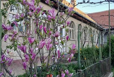 Casa si gradina de vanzare in Hitias la strada principala - 1