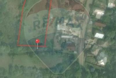 Teren Construcții intravilan de 3000 mp, în Valea Mare-Pravăț