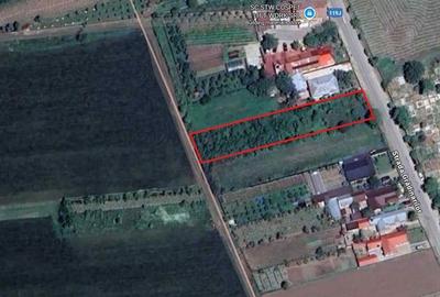 Teren de 1300 mp, în Central - 1