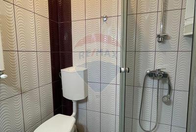 Casă cu 4 camere în Palazu Mare - 10