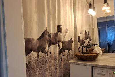 Apartament cu 2 camere decomandat, mobilat în Tineretului - 13