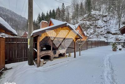 Casă cu 6 camere cu Teren 685 Mp în Râu Sadului - 5