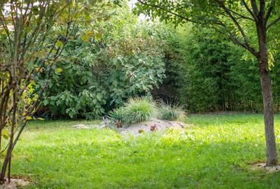 Casa / Vila, 10 cam., potrivit azil batrani sau clinica - 4