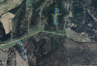 9.29 ha livezi la Lipova Bai - 2