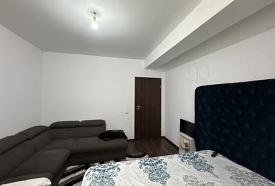 Apartament cu 2 camere decomandat, mobilat în Theodor Pallady - 9