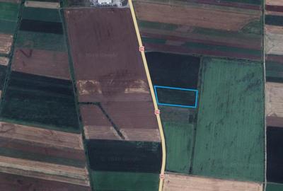 Teren Construcții intravilan de 14450 mp, în Feldioara - 1