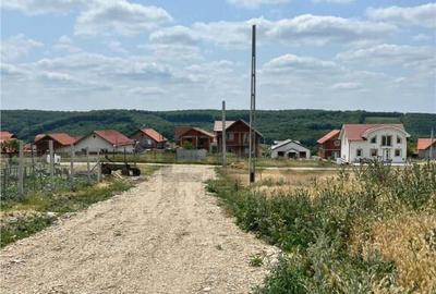 RECO teren de in zona Betfia - 3