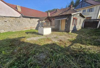 Re?i?a, casa cu teren 700 mp, pe malul Barzavei in cartierul Calnic - 7