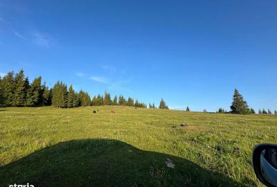 Teren de 500000 mp, în Ciocănești - 18