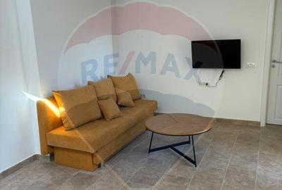 Apartament 2 camere cu terasa Gara de nord - 14