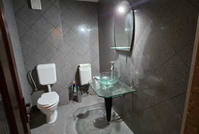 Cenad-Casa/Spatii Birouri- 150mp-teren 1065mp - 12