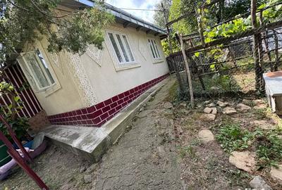 Casa de vanzare Store?ti Botosani - 4