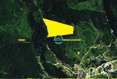 Padure de vanzare sup. 3.6 ha la 400 m de drum asfaltat in Boresc - 1