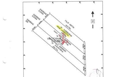 Teren extravilan 5.800 mp in Cornetu, ideal pentru investitie - 6