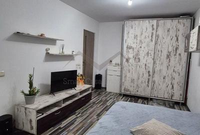 Garsonieră semidecomandată în Nicolina - 1