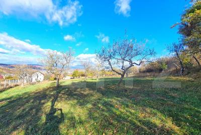 Teren intravilan 38 ari, cartierul Raal - 2