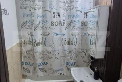 Garsonieră în Paltin - 5