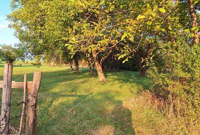 Teren de 29463 mp, în Vătava - 7