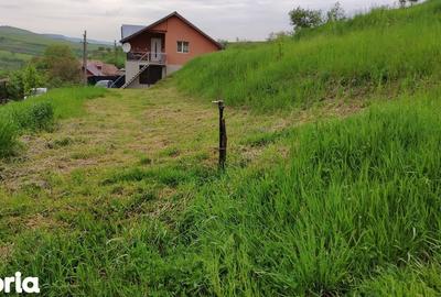 Teren de 2506 mp, în Baciu - 9
