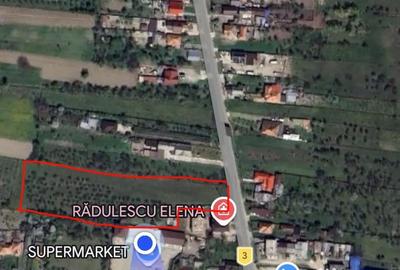 Teren de 7000 mp, în Berevoești - 7