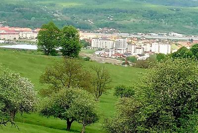 Spațiu comercial, în Troian - 5