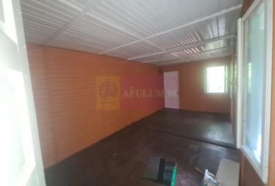 Vila de vanzare in Campina - Zona Lunca Mare - 42