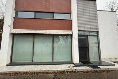 REV2005391 Vila Individuala - Otopeni - Piscina - 9