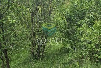 Teren Construcții intravilan de 800 mp, în Exterior Vest - 21