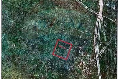 Spațiu comercial, în Nord