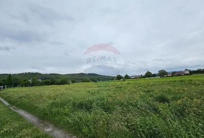 Teren 1,495mp Dobreni / Strada Parau Almas - 12