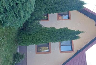 Casă cu 5 camere cu Teren 476 Mp în Central - 3