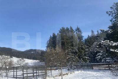 Casă cu 3 camere cu Teren 3450 Mp în Central - 11