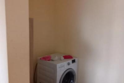 Apartament cu 3 camere decomandat, mobilat în Brotăcei - 12