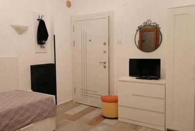 Apartament cu o camera in zona Fabric - 2