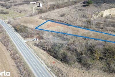 Teren de 2000 mp, în Moșna - 2