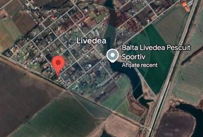 Teren intravilan 1500mp in Livedea, Ialomita - 17