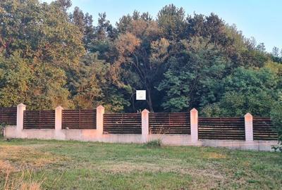 Casă cu 3 camere cu Teren 3070 Mp în Central - 18