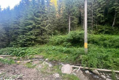 Teren de 500000 mp, în Ciocănești - 8