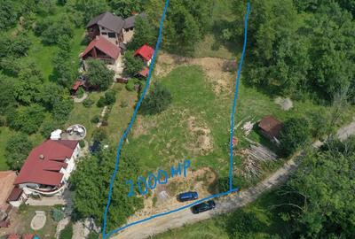 Teren de 4000 mp, în Bran - 7