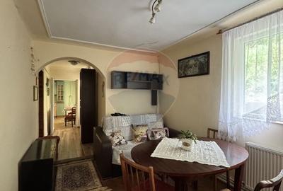 Casa in mijlocul naturii in Sighisoara, 912 mp teren - 6